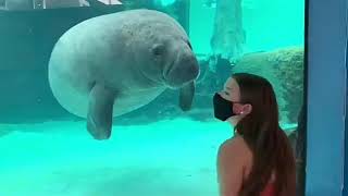 Funny Baby at the Aquarium - Funny Video #8