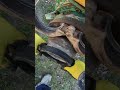 Prepare the concrete pipe-line