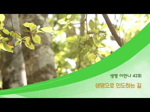 지방교회 생명이만나 42회 - 생명으로 인도하는 길