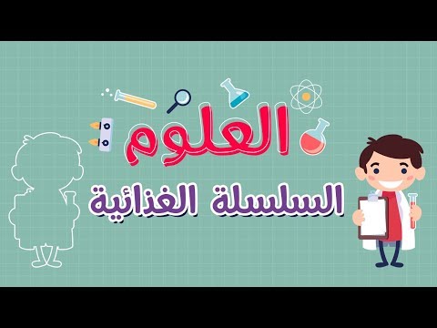 فيديو: كيف ترتبط السلسلة الغذائية بشبكة الحياة؟