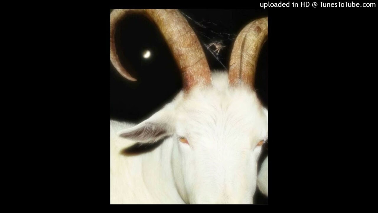 [free] marlon dubois + shed theory type beat "SCARY"