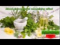 Diabetes herbal treatments