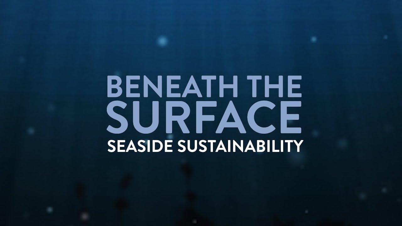 Beneath the Surface Episode Out Now!