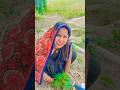 paudhon mein bhi Jaan hoti hai#funny #comedy #short #video #viral #trending #