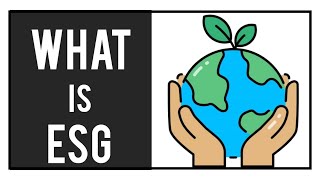 What is ESG | Environmental, Social and Governance | The 3 Pillars of ESG | An ESG Scandal