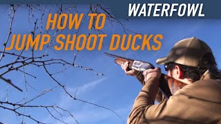 How to Jump Shoot Ducks