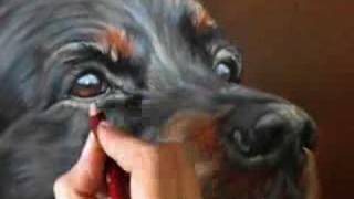 犬の描き方 ゴールデンレトリバー 絵の描き方動画セレクト