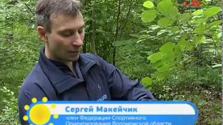 Утро Вместе: спортивное ориентирование Утро Вместе: спортивное ориентирование