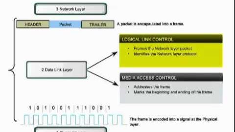 Data Link Layer Video 1