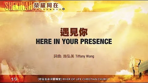 遇见你 Here In Your Presence（生命河敬拜赞美系列 8「Shekinah荣耀同在」)  小组敬拜用 - 天天要闻