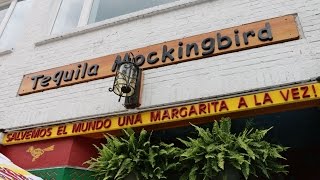 Tequila Mockingbird Commercial (Website)