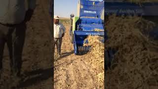 Fasulye makinası-آلة الفول-Bean Machine-ماشین لوبیا-Боб машина-Пасуљ машина-Φασόλια-Грав-Бұршақтар