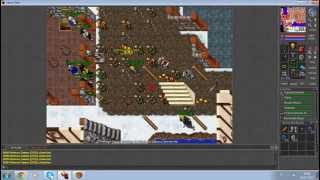 TIBIA LOUCO SERV - DANDO UM ROLÊ NO SERV