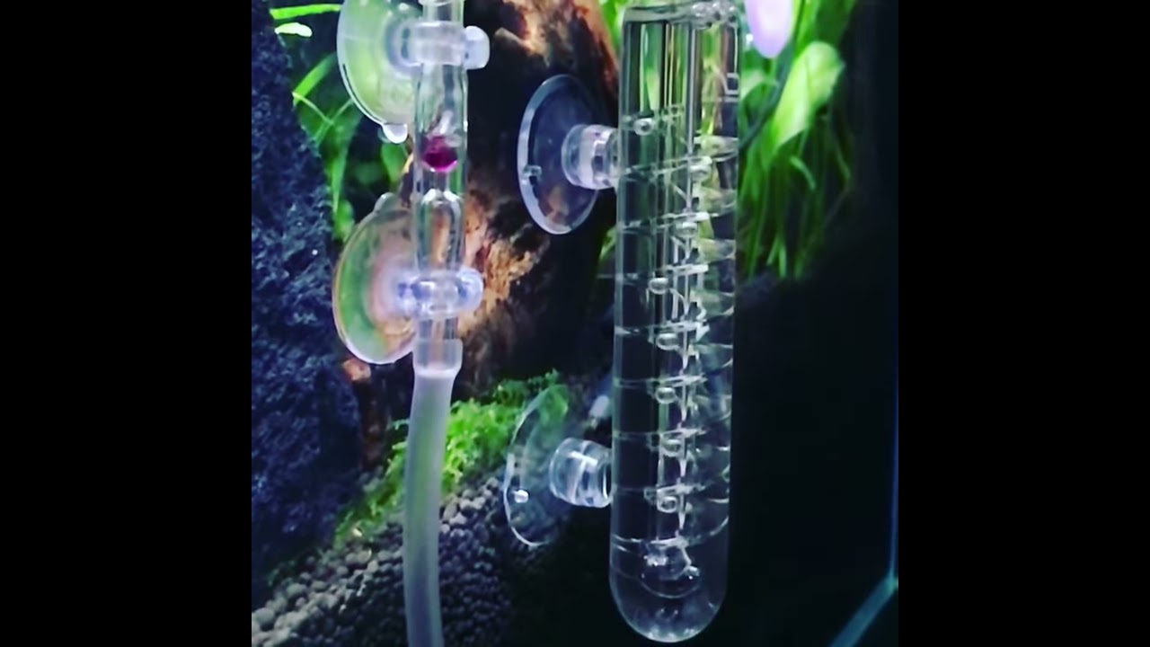 ADA CO2ビートルカウンター ada_co2_beetlecounter_action_l