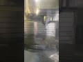 Deckel Maho DMU80T Machining Centre Axes #machine #cnc #manufacturing