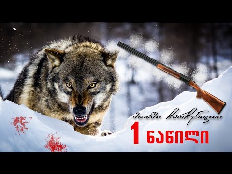 მთაში ჩარჩენილი ბიჭი / 1 ნაწილი (ვიდეოთა სერიის გამეორება)