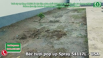 Béc tưới cỏ pop up Spray 54117L - Orbit (USA)| tuoicay.com