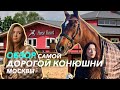 СУДЬБА СПОРТИВНОЙ ЛОШАДИ 💰СКОЛЬКО СТОИТ КОННАЯ КАРЬЕРА // КСК Отрада// КОНОГОЛИКИ