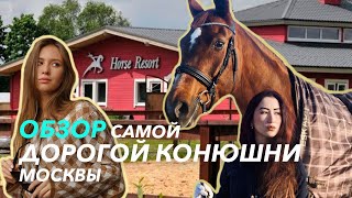 картинка: СУДЬБА СПОРТИВНОЙ ЛОШАДИ 💰СКОЛЬКО СТОИТ КОННАЯ КАРЬЕРА // КСК Отрада// КОНОГОЛИКИ