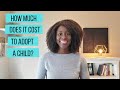 HOW MUCH DOES IT COST TO ADOPT A CHILD?! Foster to Adopt, Domestic & International!