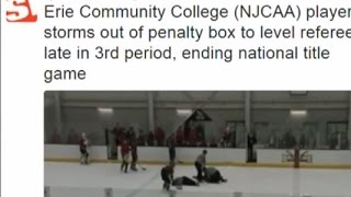 ECC hockey player suspended for hitting ref