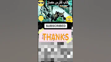 افترسوا الحصان بقسوة 