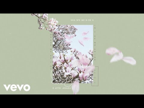 Shawn Mendes - Where Were You In The Morning? (KAYTRANADA Remix / Audio)