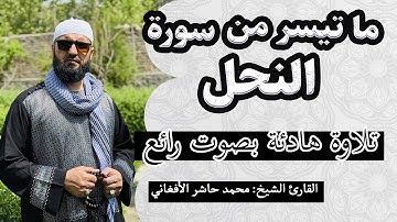 ما تیسر من سورة النحل|  القارئ الشيخ محمد حاشر الأفغاني