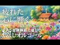 A Relaxing Music Box Whose Gentle Melodies Soothe Weary Hearts