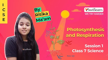 Photosynthesis and Respiration | ICSE Class 7 Biology | Online Classes | Session 2 - Swiflearn