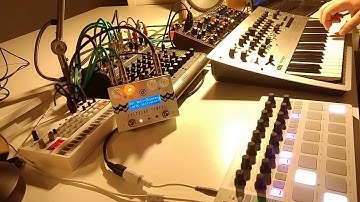 Korg Minilouge into Specular Tempus - Also feat. Behringer Model D - Volca Sample