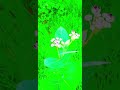 #nature #flowers #greenscreen #naturelovers