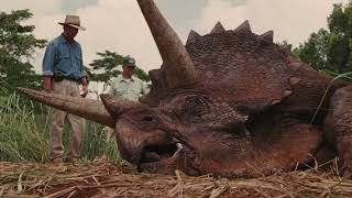 Triceratops Tribute.