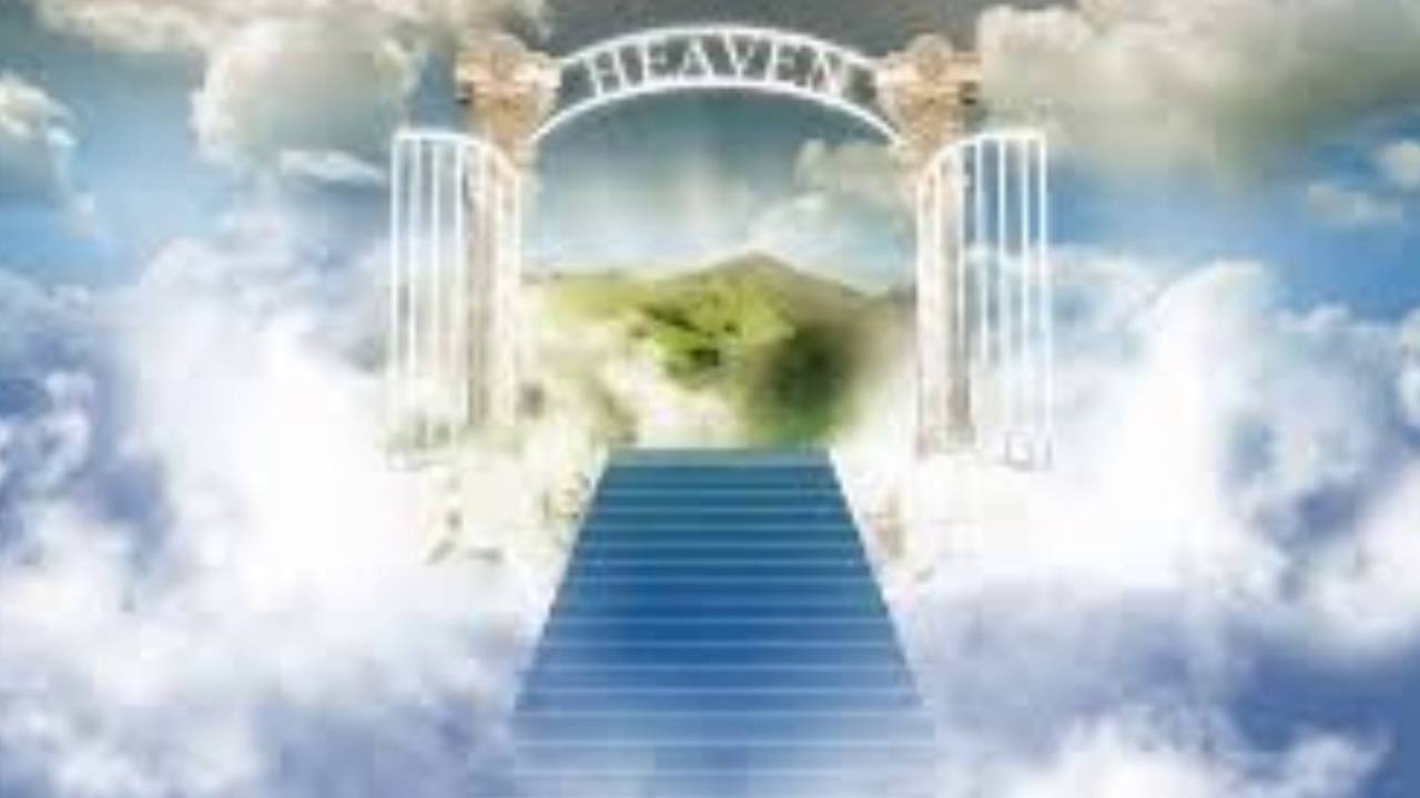 Steve Nlate Mbamba Nlam