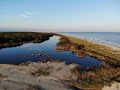 Camping at Huntington Beach State Park - Drone Footage