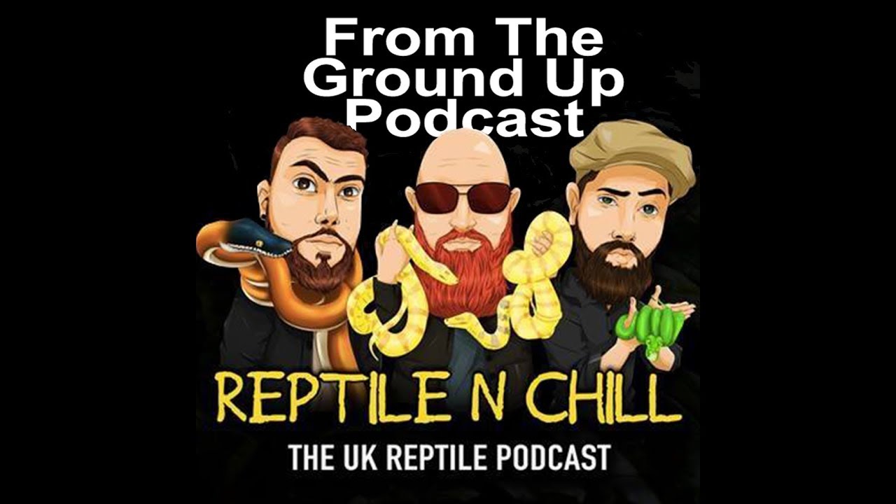 corneta Reptile N Chill Joins Us for Mardi Gras - From The Ground Up Podcast (Reptile Podcast)