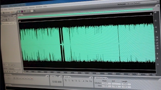 Snake Reveal: What We Think Caused the Demonic Sounds on our Station