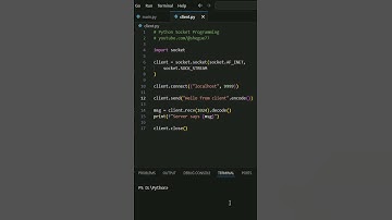 Python Sockets: Connect the Client in Under 60 Seconds! 🔌