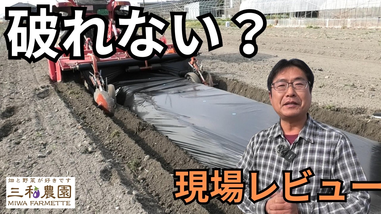 生分解マルチ、正直ここまで進化してました！【農家が本音レビュー】（2026.3.10）