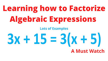 Factorizing Algebraic Expressions ||Chris Maths Academy