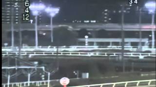 경마한일전 와츠빌리지우승 screenshot 3