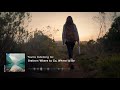 Capture de la vidéo Peter Breiner: Where To Go, Where To Be (Music Video)