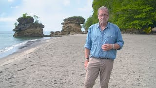 The Travel Detective