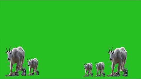 Keynote + iMovie: Green Screen Hacks