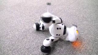 Ｈｅｌｌｏ！Ｚｏｏｍｅｒ (ハローズーマー) 　あおむけ編