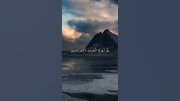 واتس اب قران كريم القارئ ياسر دوسري (سوره السجدة)