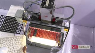 SRG AutoPack (Egg Transter Machine)