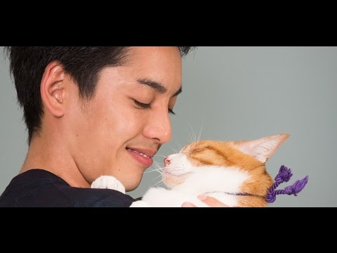 映画『猫忍』に出演する大野拓朗さんと、猫の金時