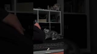 Remember Prayer Is Better Than Sleep Beautiful Islamic Message