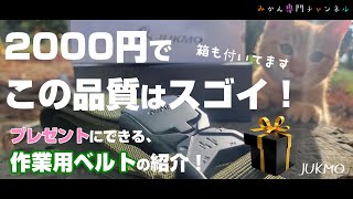 【JUKMO】みかんの剪定に必要な、作業用ベルトがバックルの進化によって使いやすくなってた！／プレゼントにオススメの商品をご紹介します。
